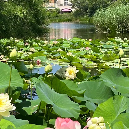 Parco vacanze De La Pinède
