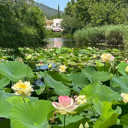 De La Pinède * Grimaud